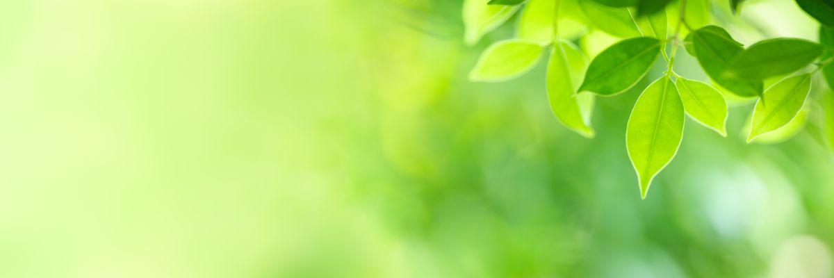 Environmentally friendly hair removal